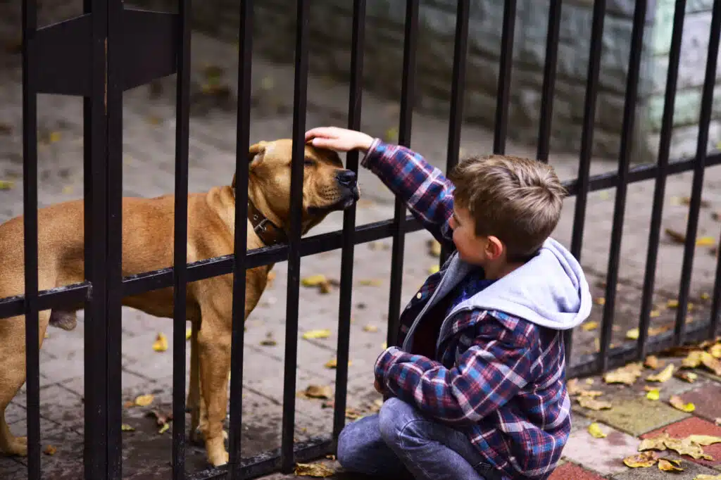 Fencing for Pets & Kids