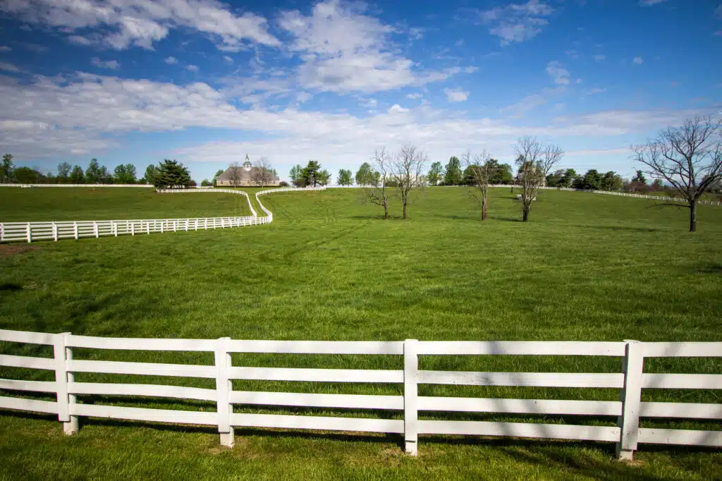 Freedom Fence Contractor: Your Trusted Partner for Ranch Fencing Solutions